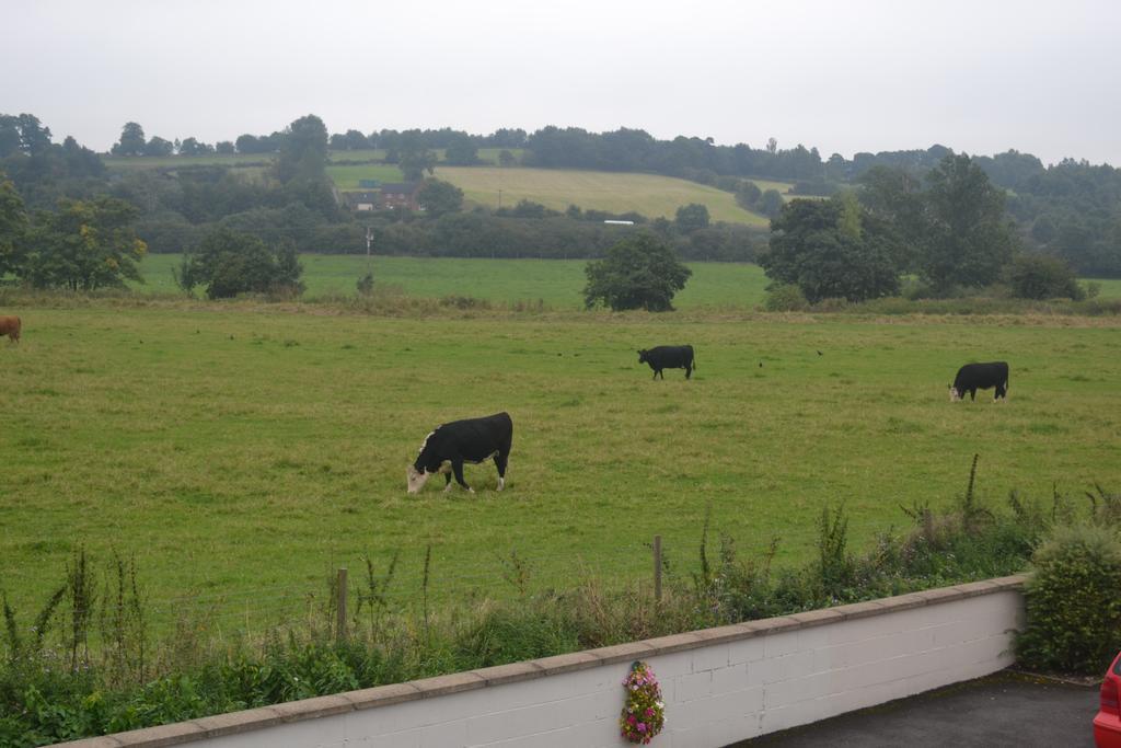 The Lilacs Ashbourne (Derbyshire) Exterior foto
