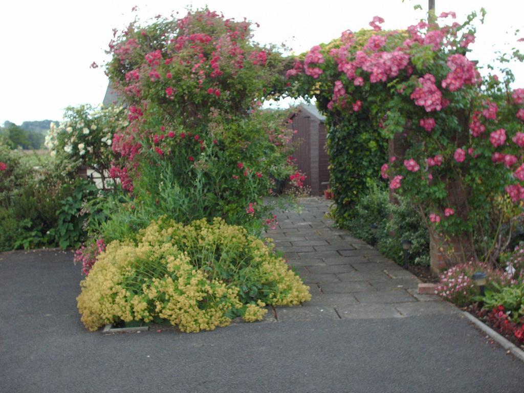 The Lilacs Ashbourne (Derbyshire) Exterior foto